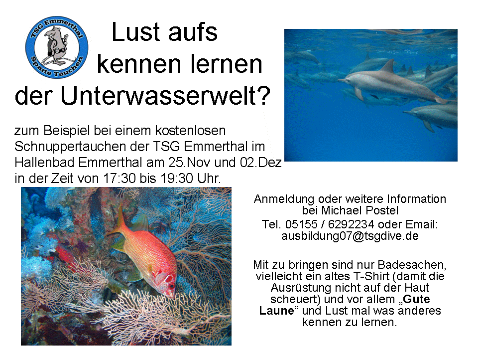 Termine Schnuppertauchen 2013