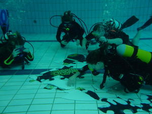 Tauchausbildung bei der TSGDive