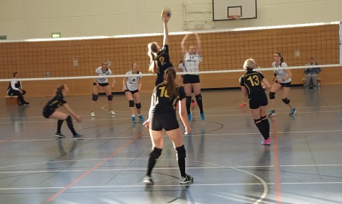 TSG Emmerthal Volleyball