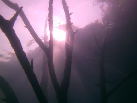 Hemmoor 2013 Unterwasser-Baum