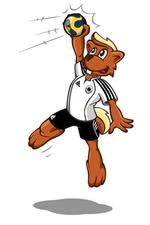 Handball bei der TSG Emmerthal